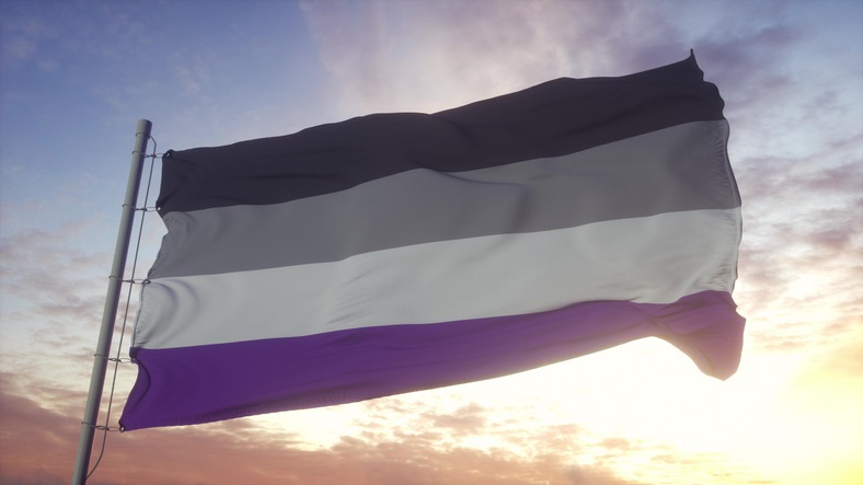Asexual flag waving in the wind.