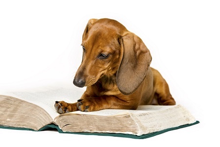 How dogs could make children better readers