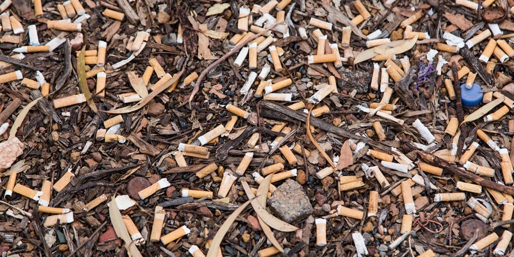 are cigarette butts bad for dogs