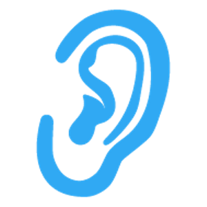 Ear from Google Images