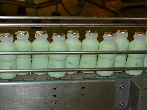 Gegeurde melk in 'n fabriek. Foto: Carien Kruger
