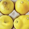 How this strange photo of a box of lemons could actually save your life