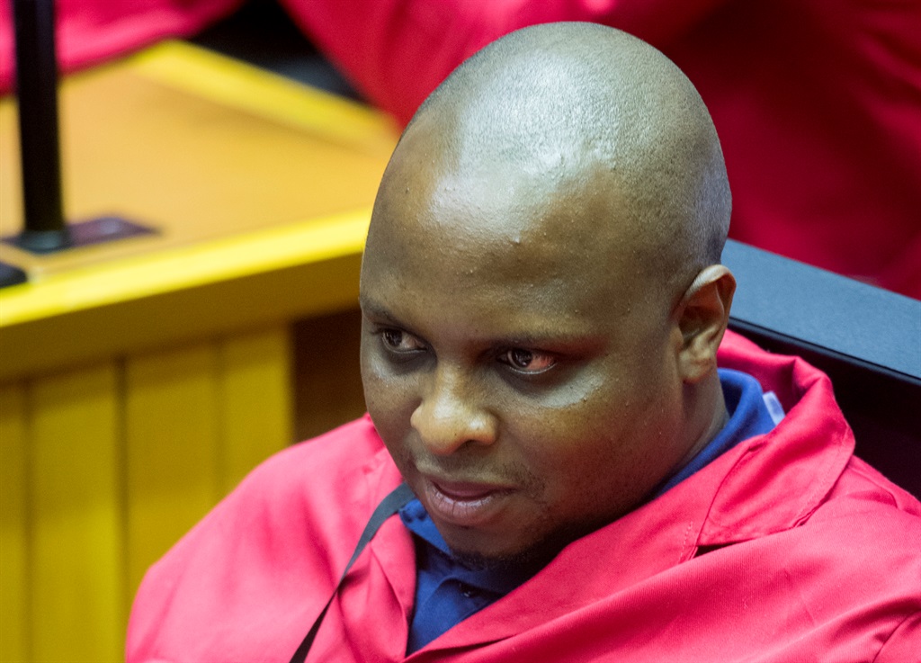 The Economic Freedom Fighters’ Floyd Shivambu tabled the draft motion on land expropriation. Picture: Jaco Marais
