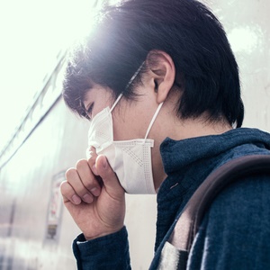 How likely is it that a big flu epidemic will strike again? 