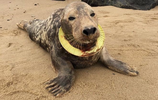 Help Die Hele Aardbol Versmoor In Plastiek