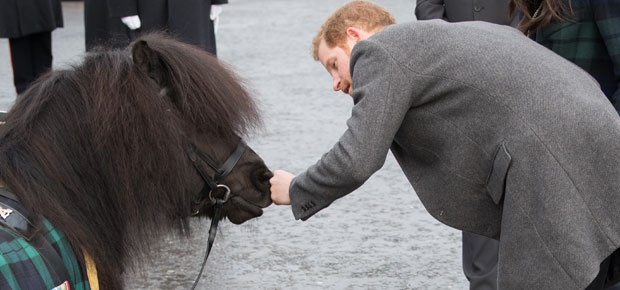 Prince Harry and Cruachan the Shetland pony. (Photo: Getty Images)