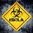 WATCH: How Ebola attacks the body