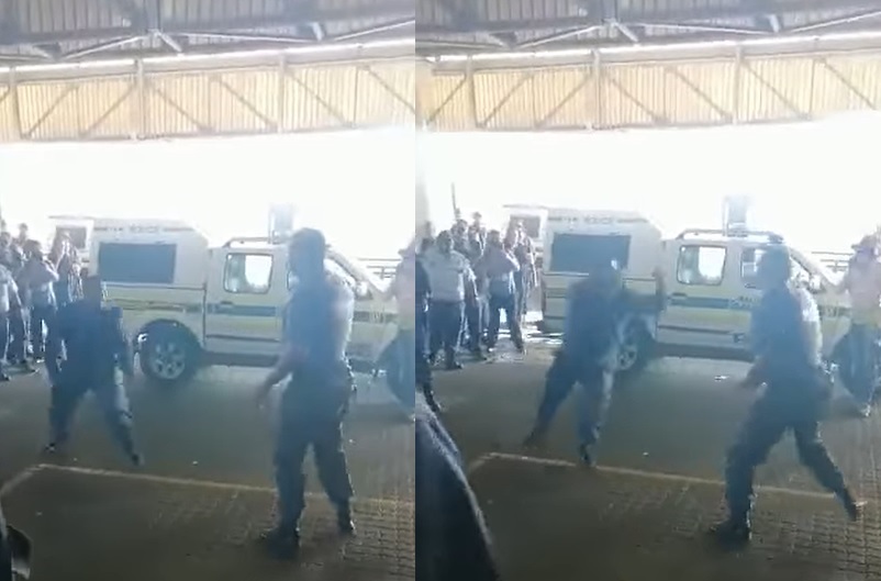 WATCH | Karate cop: Cape Town police officer fights off colleagues with spinning kicks and punches - News24