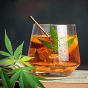 Will dagga drinks overtake alcohol in popularity - and are they safe? An expert weighs in