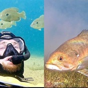 Meet the man who has formed a unique friendship with a fish