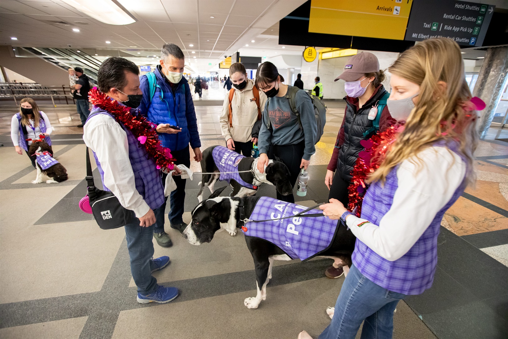 Denver clinched the record for the world's largest dog therapy airport