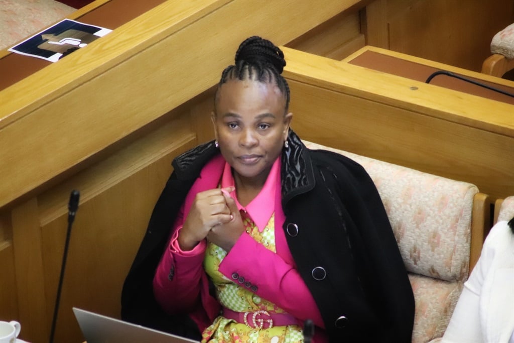 News24.com | Mkhwebane inquiry: Text message to witness 'impeded' committee's work