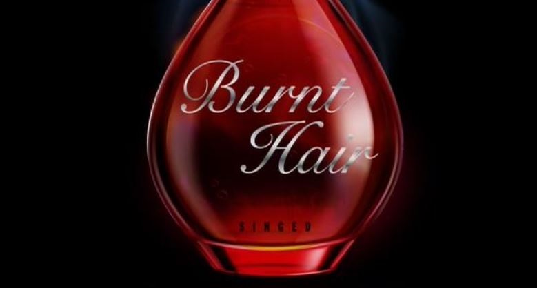 Elon Musk launches new 'Burnt Hair' perfume | Business