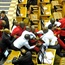Why the Fifth Parliament was little more than Luthuli House-by-the-sea