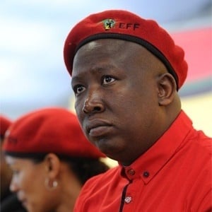 EFF leader Julius Malema. (City Press)