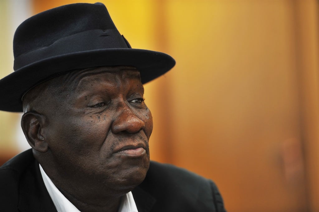 This week, police minister Bheki Cele revealed a decrease in crime, following the implementation of the national lockdown. Picture: Edrea du Toit 