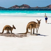  Eyeing a trip to Australia? With this new route to Perth, booking a flight has never been cheaper