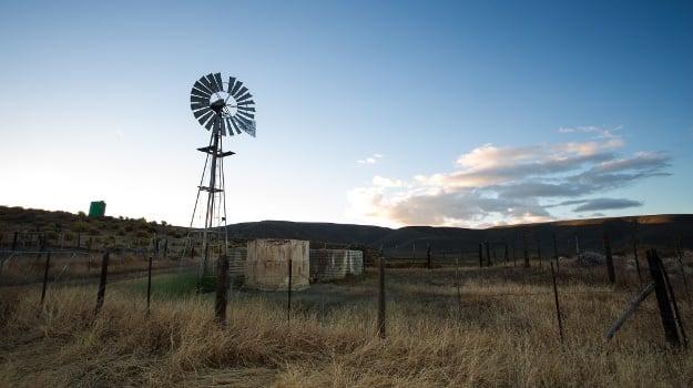 Restoring and maintaining law and order is of critical importance, say Agbiz and Agri SA.