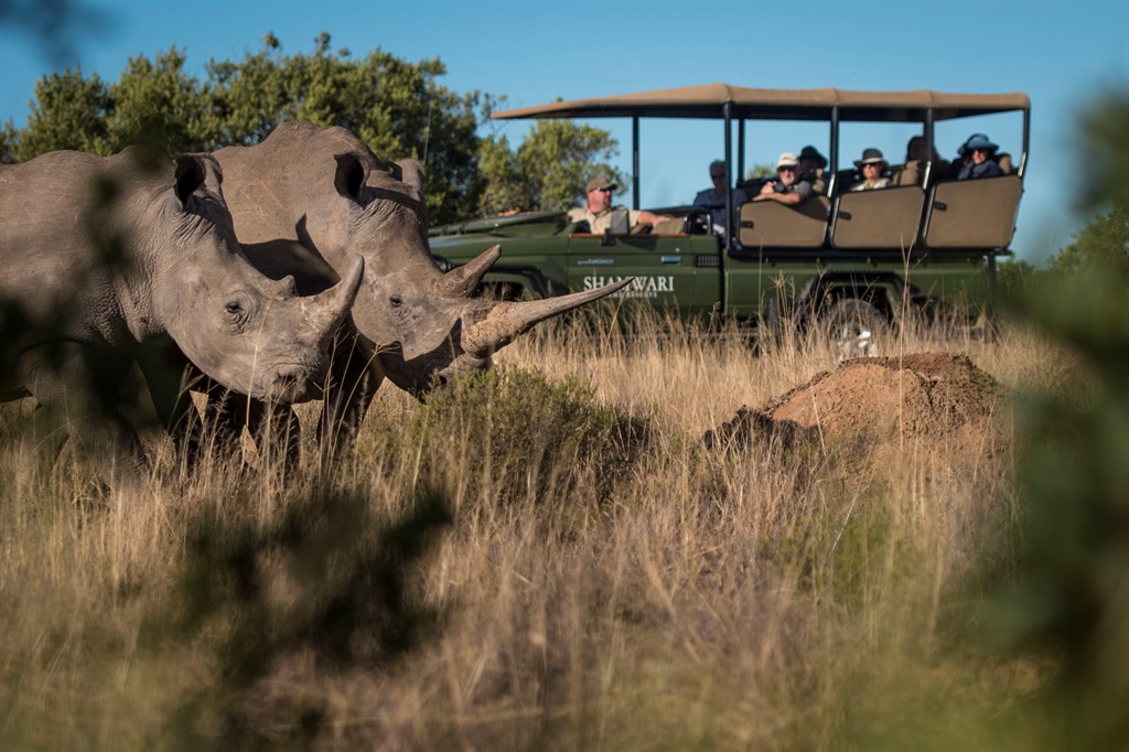 Africa's rhino population is severely under threat. Photo: Supplied