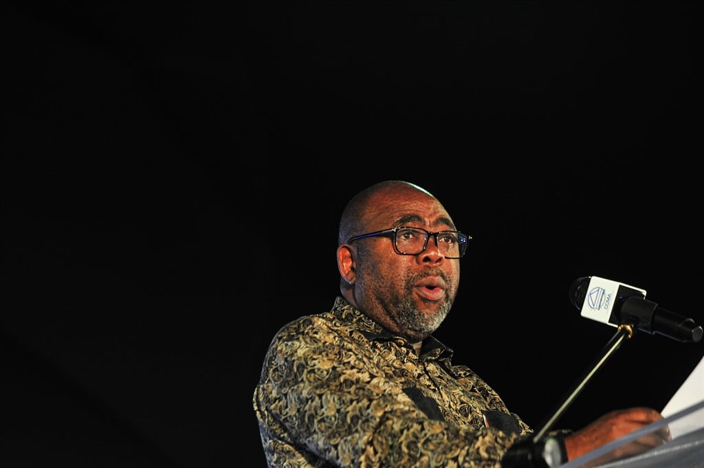 Minister of Employment and Labour Thulas Nxesi. Photo: Rosetta Msimango