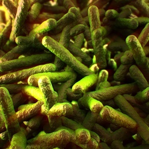 The recent Listeriosis outbreak already claimed 180 lives in SA.