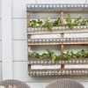 Make a vertical garden with pallets