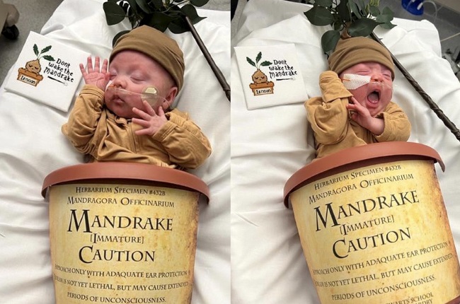 Baby Lennon as a screaming mandrake. (PHOTO: Advocate Children’s Hospital/ Facebook)