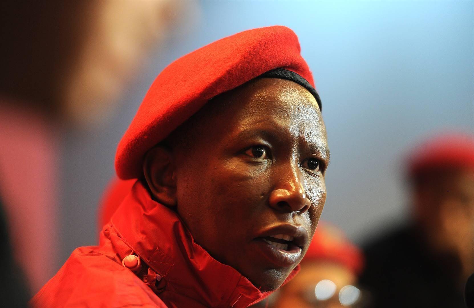 Malema to investors: EFF will bring clarity, transparency – but also nationalisation | Business