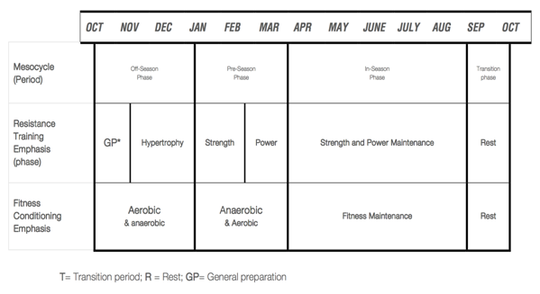 periodisation programme for rugby players