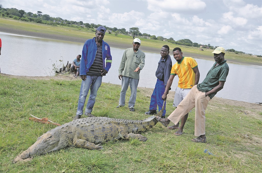 From left: Cattle herders Sevens Chiloane, Million Khumalo, Tonic Godi, Bishop Baloyi and Norman Malamule have a close look at the dead reptile.                       Photo by Oris Mnisi