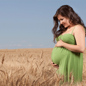Pregnant woman in a wheat field 