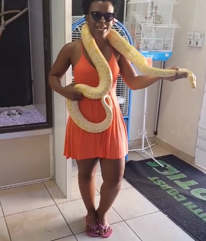 Zodwa Wabantu with a giant snake around her shoulder. Photo: Sreeengrab 