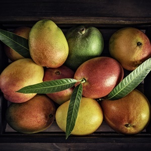 Mangoes are some of the most popular fruits during summer.
