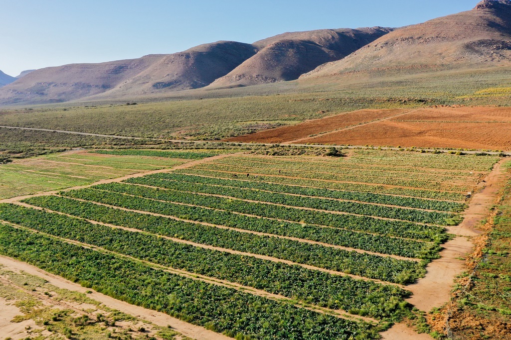 The reliable supply of power will also allow Karoo