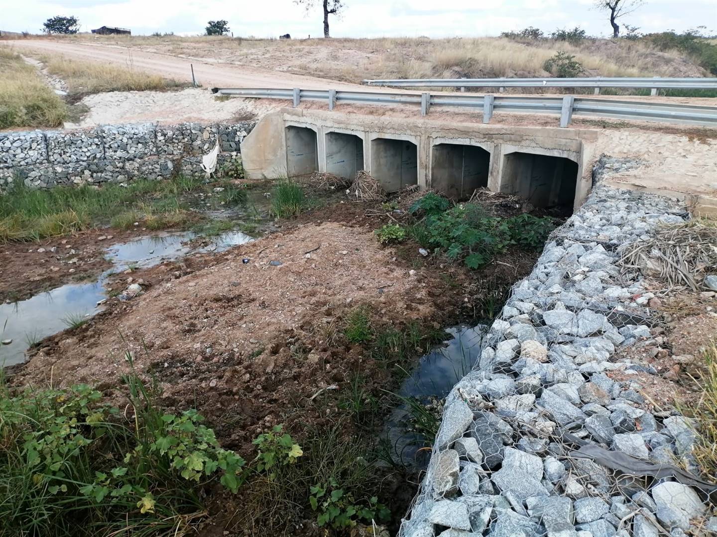 News24 | Struggling Limpopo municipality spends R5m on gravel bridge without risk assesment