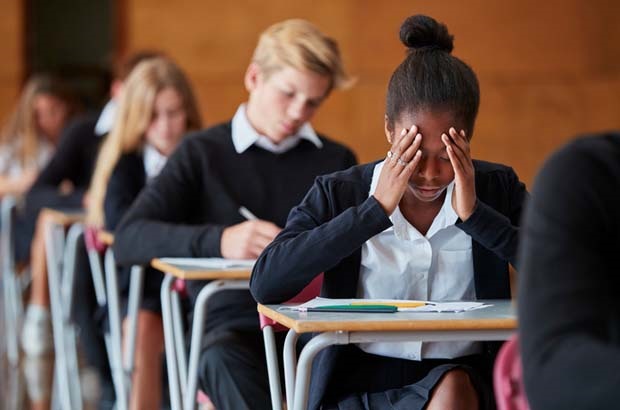 Two-thirds of young people experience levels of exam stress that mental health organisation ReachOut describes as “worrying”.