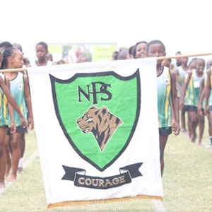 Learners from Nelspruit Primary School carry the school’s banner during a sports meeting in February 2015. 