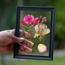 WATCH: How to make pretty pressed petals for your picture frame