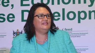 Wendy Nelson pictured in 2015, when she was MEC for finance, economy and enterprise. Picture: Daily Sun