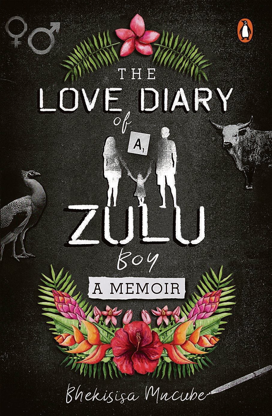 The Love Diary of a Zulu Boy by Bhekisisa Mncube