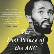 Book Extract | Challenges were suppressed to ‘maintain ANC traditions’