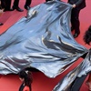Winnie Harlow's dress was so extra, the Cannes red carpet (probably) fell silent for a few minutes