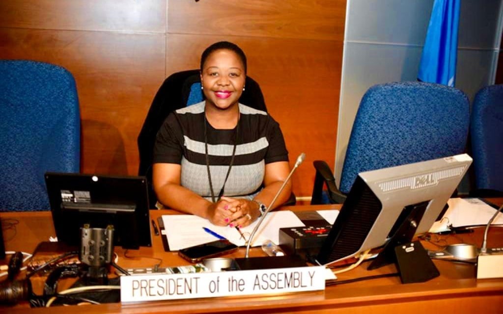 Poppy Khoza during her role as chair of the global assembly of the UN's International Civil Aviation Organisation in Montreal.