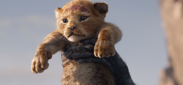 Young Simba voiced by JD McCrary in 'The Lion King.' (Disney)