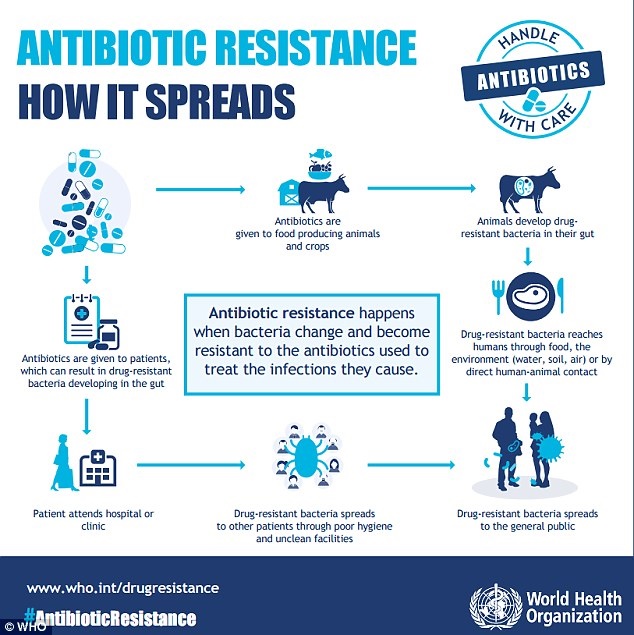 antibiotic resistance south africa
