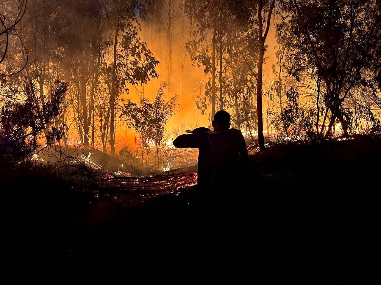’n Brandbestryder op die toneel van ’n brand buite Worcester wat reeds vier dae lank woed.  Foto: Kaapse Wynland-distriksmunisipaliteit-branddienste/Lötter Lekay