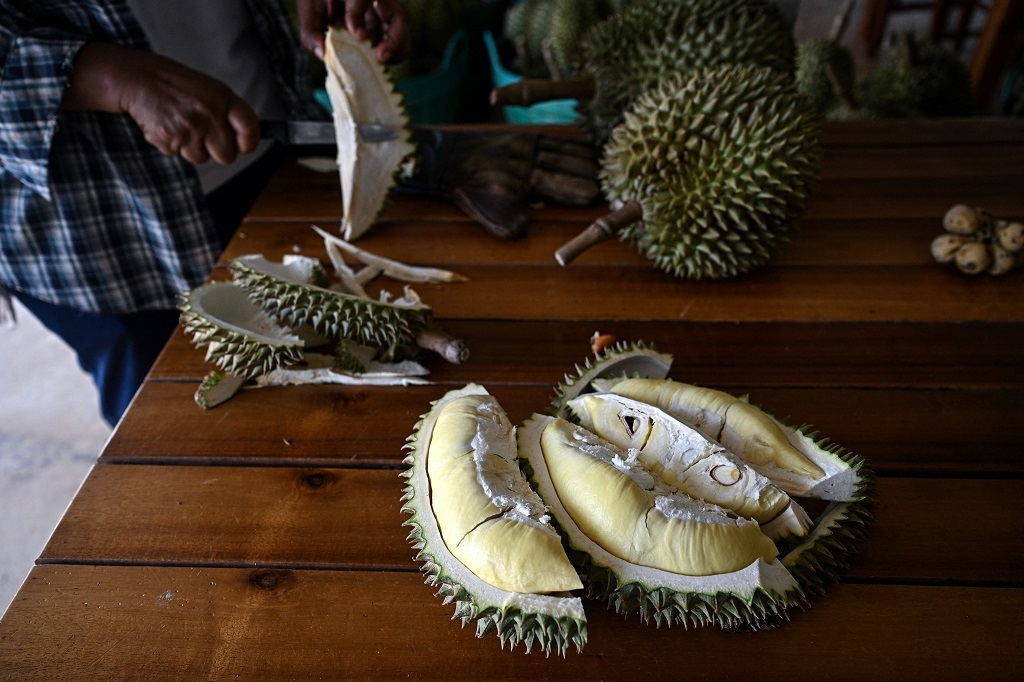 The inside of a durian, farmed in Thailand's eastern Chanthaburi province. (Lillian Suwanrumpha/ AFP).