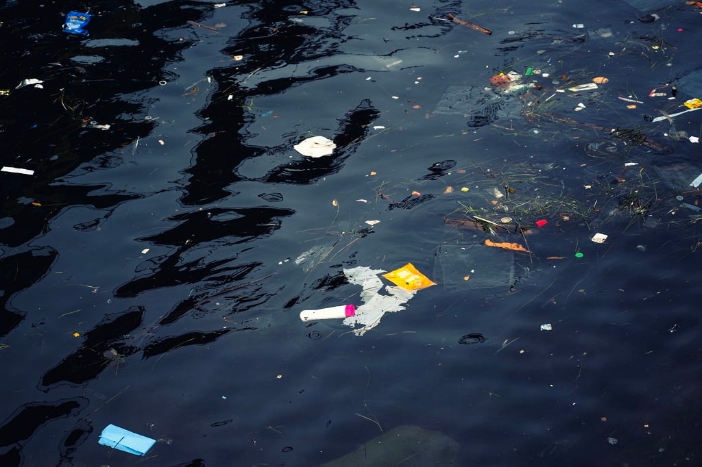 Microplastics contaminate seafood. (Carmen Martínez Torrón/Getty Images).