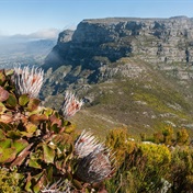 Climate change is threatening Table Mountain, Mapungubwe - study