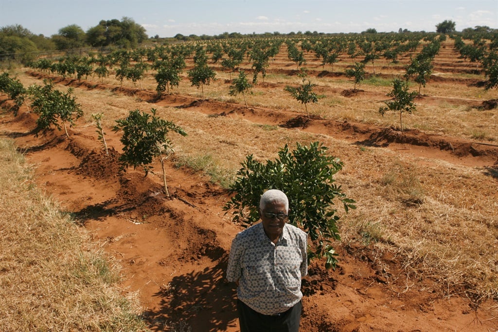 Dr Sam Motsuenyane at his citrus farm in Winterveld. Picture: Motlhalefi Mahlabe